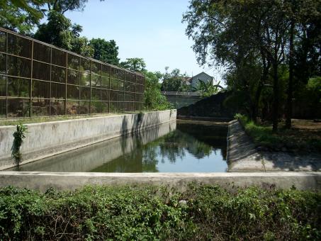 Free Stock Photo of Surabaya Zoo