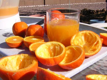 Free Stock Photo of Fresh squeezed orange juice