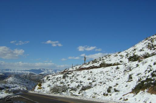 Free Stock Photo of Arizona snow