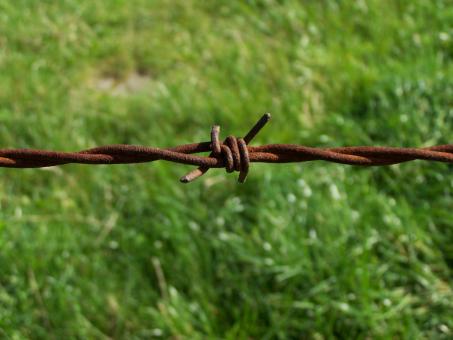 Free Stock Photo of Barbed wire