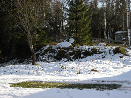 Free Stock Photo of Winter 2008