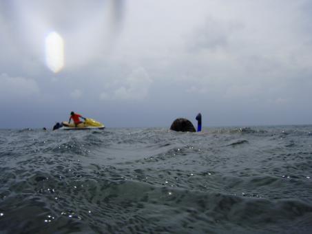 Free Stock Photo of Scuba divers surfacing