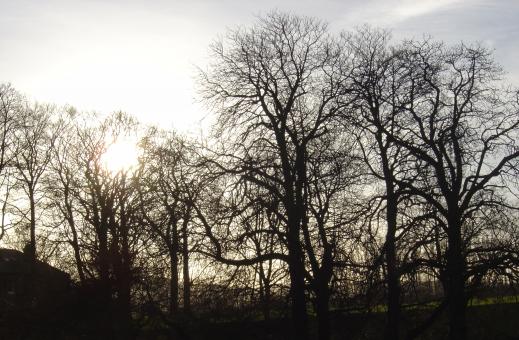 Free Stock Photo of Winter At Hillsborough Park