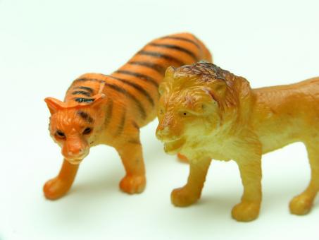 Free Stock Photo of Tiger and lion