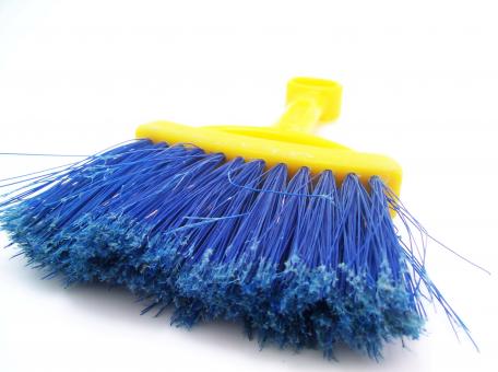Free Stock Photo of Yellow broom