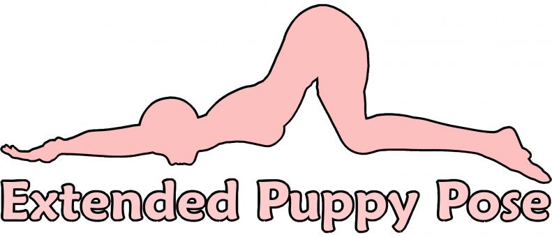 Free Stock Photo of Extended Puppy Pose