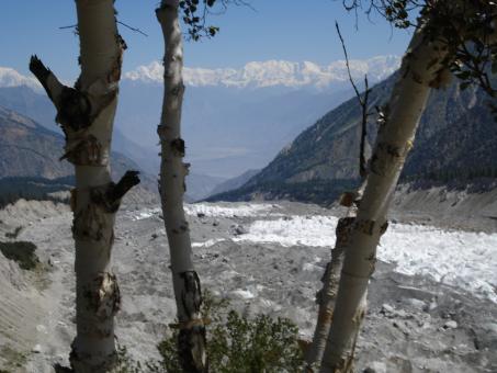 Free Stock Photo of Fairy Meadows, Nanga parbat