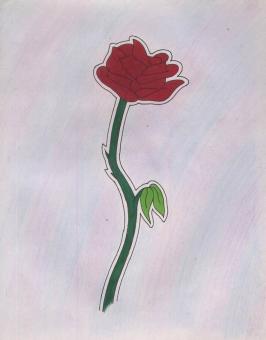 Free Stock Photo of Red Rose