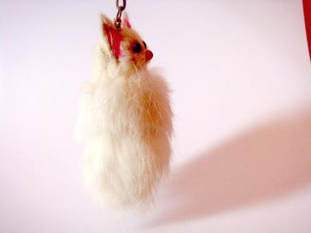 Free Stock Photo of Cat Key Ring