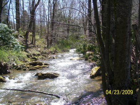 Free Stock Photo of Up Stream