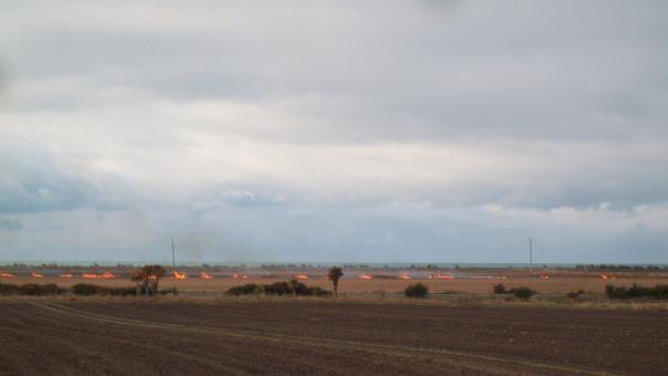 Free Stock Photo of Burning the Wheat Stubble