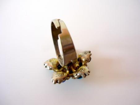 Free Stock Photo of Flower Ring