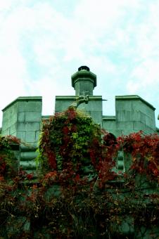 Free Stock Photo of Irish Castle Wall