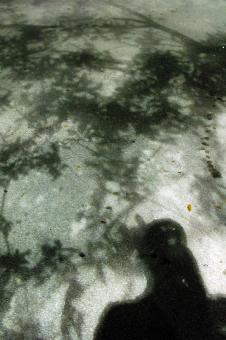 Free Stock Photo of Shadows, Miami, Florida, January 2007