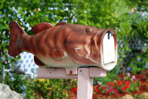 Free Stock Photo of Mailbox of the Keys, Florida, January 20