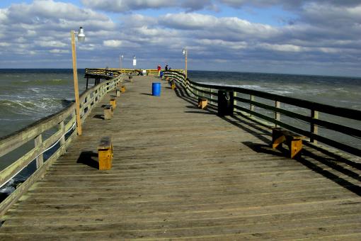 Free Stock Photo of The Warped Avalon Pier