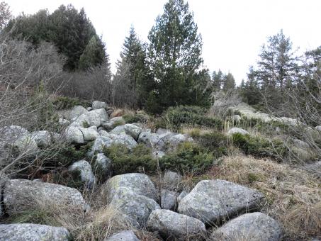 Free Stock Photo of Moraines to the Vitosha mountain