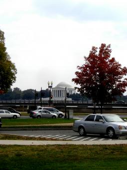 Free Stock Photo of Washington D.C. Famous Landmarks