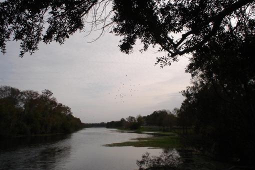 Free Stock Photo of River Bend