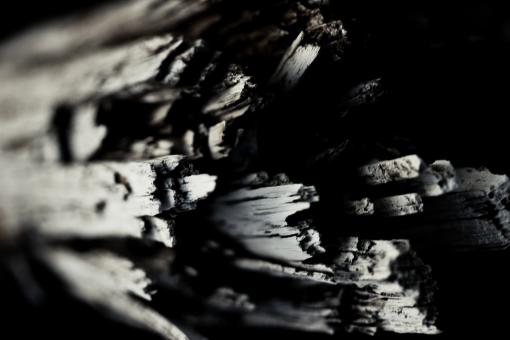 Free Stock Photo of Rotten wood