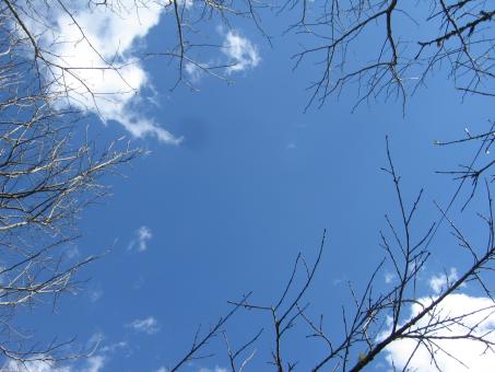 Free Stock Photo of Vietnam Sky