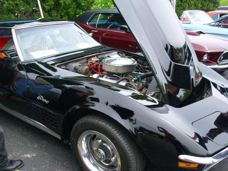 Free Stock Photo of Car show - Black Mustang