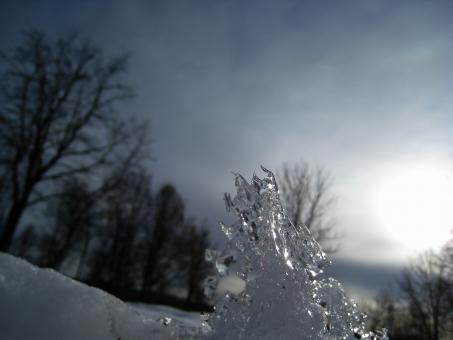 Free Stock Photo of Icicle