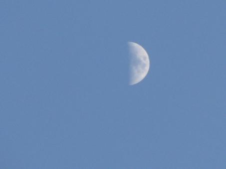 Free Stock Photo of The Moon