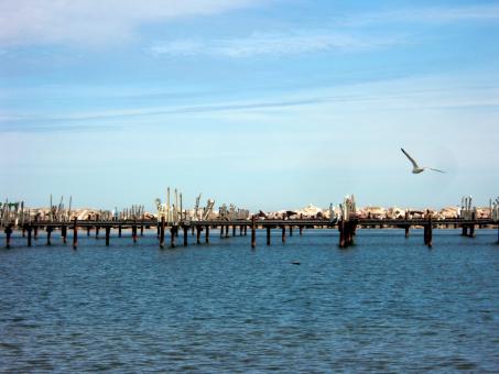 Free Stock Photo of milwaukee shoreline
