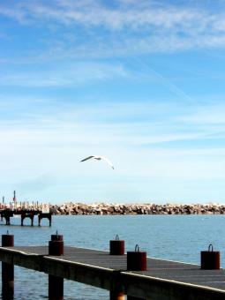 Free Stock Photo of milwaukee shoreline