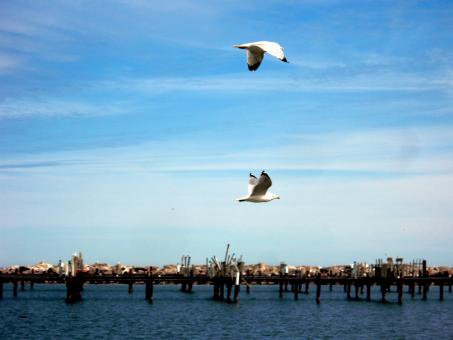 Free Stock Photo of milwaukee shoreline