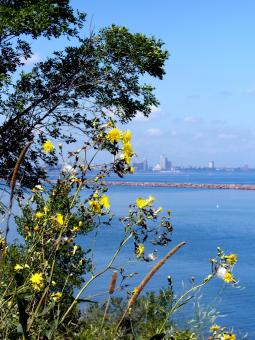 Free Stock Photo of Milwaukee Bluffs
