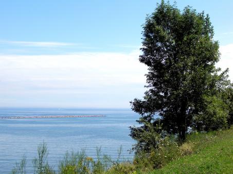 Free Stock Photo of Milwaukee Bluffs