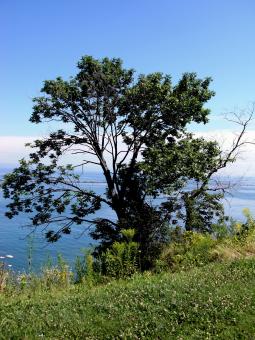 Free Stock Photo of Milwaukee Bluffs