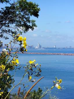Free Stock Photo of Milwaukee Bluffs