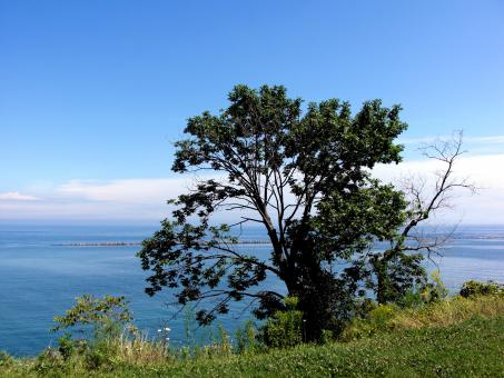 Free Stock Photo of Milwaukee Bluffs