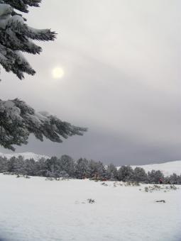 Free Stock Photo of Winter at Morcueras pass