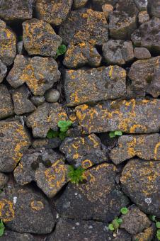 Free Stock Photo of Stone Wall Texture