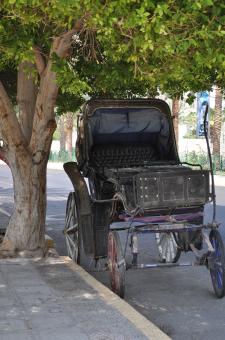 Free Stock Photo of Horse carriage