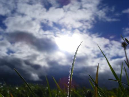 Free Stock Photo of Shining