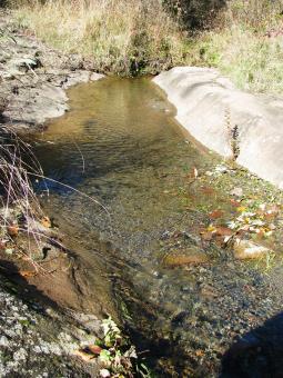 Free Stock Photo of Little mountain stream