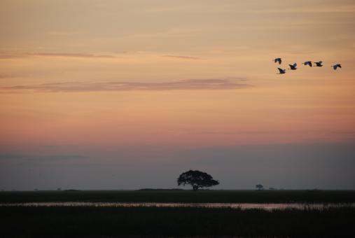 Free Stock Photo of Chobe river sunset