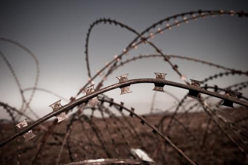 Free Stock Photo of Barbed Wire