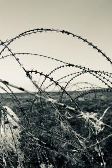 Free Stock Photo of Barbed Wire