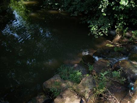 Free Stock Photo of River of Life Obstacles