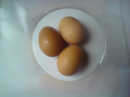 Free Stock Photo of Eggs