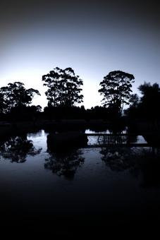 Free Stock Photo of Peacefull
