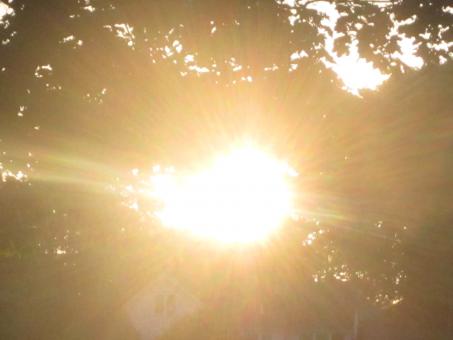 Free Stock Photo of Sunrays