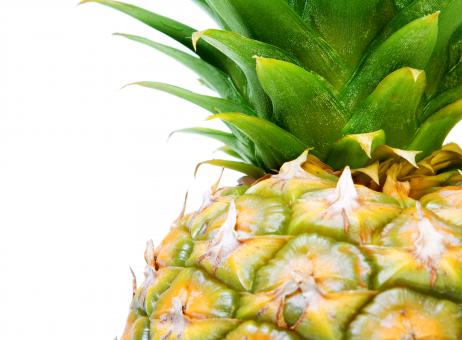 Free Stock Photo of Pineapple Close Up