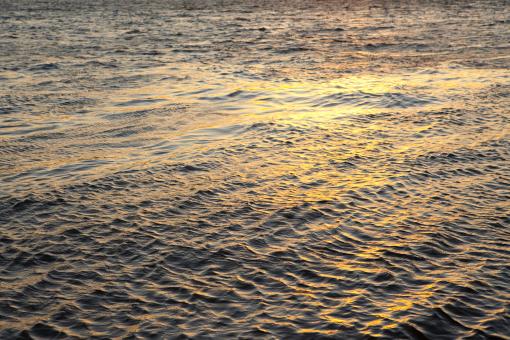 Free Stock Photo of Water
